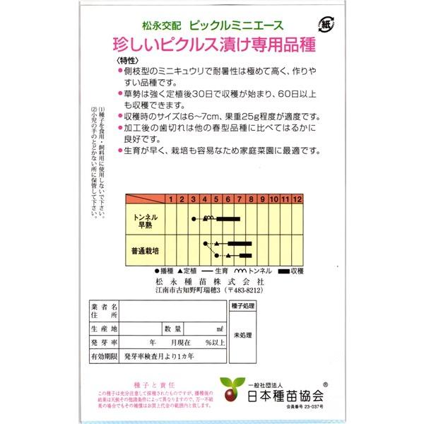 ミニキュウリ 種<br> 『ピックルミニエース』  松永種苗/小袋（25粒）｜tanehyo｜02