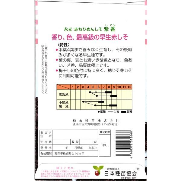 赤しそ 種<br> 『紫香』  松永種苗/20ml｜tanehyo｜02