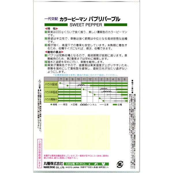 パプリカ 種<br> 『パプリパープル』  丸種/100粒｜tanehyo｜02