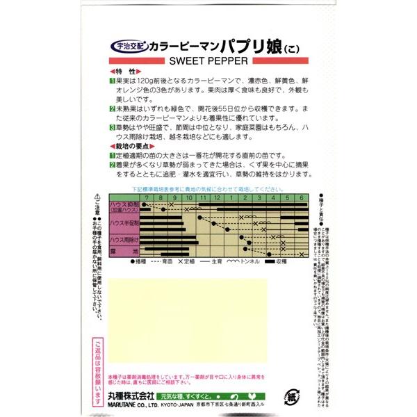 パプリカ 種<br> 『パプリ娘ミックス（3色混合）』  丸種/小袋（各色×3粒）｜tanehyo｜02