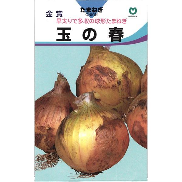 極早生タマネギ 種 『玉の春』 2dl
