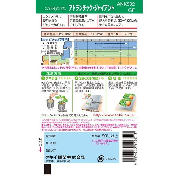 ジャンボカボチャ 種<br> 『アトランチック・ジャイアント』 ANK592 タキイ種苗/1L｜tanehyo｜02