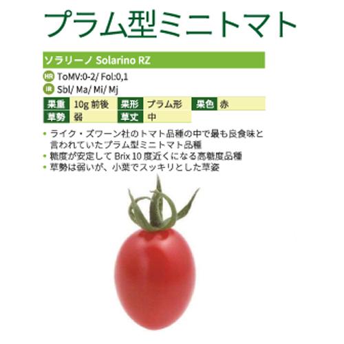 朝日アグリ ミニ トマト とまと ソラリーノ 1000粒 : 種苗・園芸