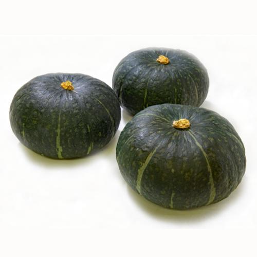 朝日アグリ カボチャ 南瓜 かぼちゃ 栗のめぐみ1号 100粒 : 種苗・園芸