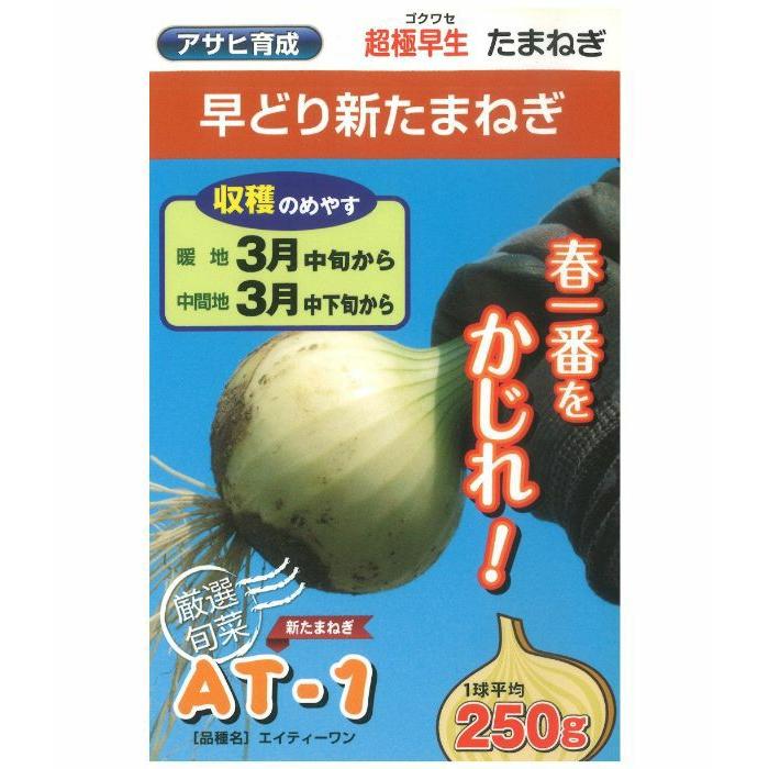 アサヒ農園 タマネギ たまねぎ 玉葱 AT−1玉葱 小袋 : 種苗・園芸