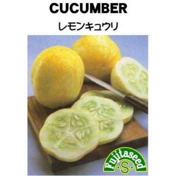 たね 藤田種子 レモンきゅうり 小袋 Fujita 0119 種苗 園芸ショップ 種もり 通販 Yahoo ショッピング