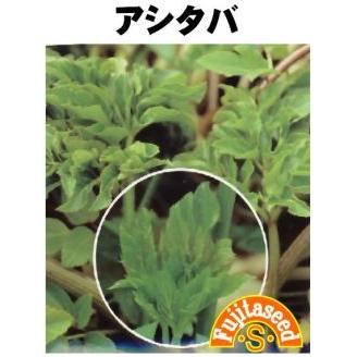 藤田種子 アシタバ 小袋 Fujita 0158 種苗 園芸ショップ 種もり 通販 Yahoo ショッピング