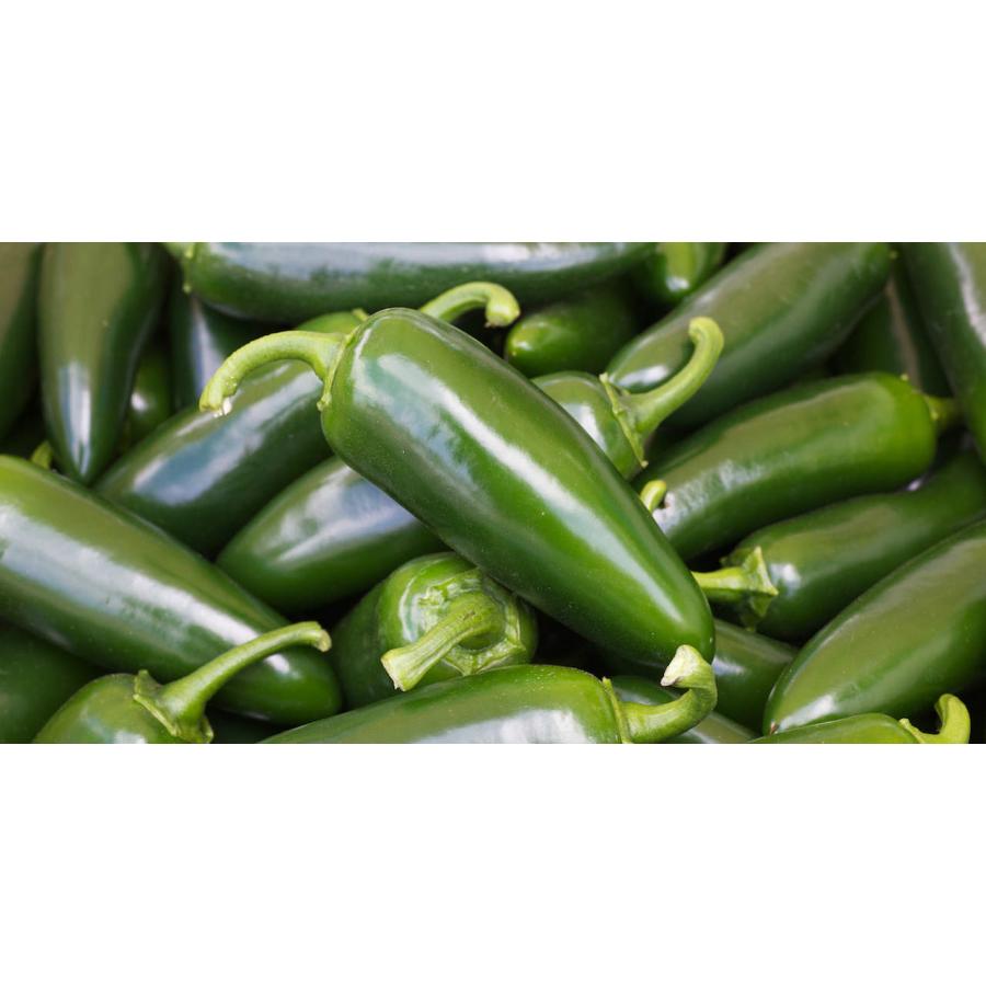 たね フタバ種苗 F1トウガラシ ハラペーニョ 小袋 Futaba 0173 種苗 園芸ショップ 種もり 通販 Yahoo ショッピング