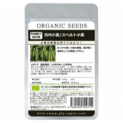 たね 25ｋg 種 種子 古代小麦 スペルト小麦 Green 0302 種苗 園芸ショップ 種もり グリーンフィールドプロジェクト