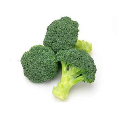 カネコ種苗 ブロッコリー スーパードーム コート5000粒 : 種苗・園芸