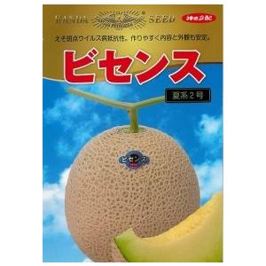 神田育種 メロン ビセンス夏2号系 100粒 : 種苗・園芸ショップ 種もり