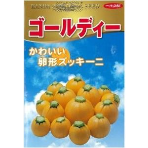 神田育種 ズッキーニ ゴールディ 小袋 : 種苗・園芸ショップ 種もり