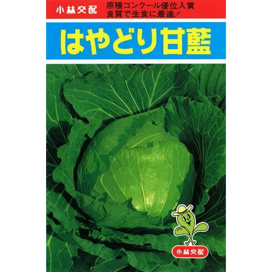 たね 小林種苗 キャベツ 種もりのたね きゃべつ 種苗 園芸ショップ はやどり コート5000粒 Kobayasi 01 コート5000粒 Kobayasi 01ならショッピング ランキングや口コミも豊富なネット通販 更にお得なpaypay残高も スマホアプリも充実で毎日どこからでも気になる