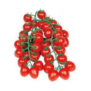 本日限定 丸種 ミニトマト 甘っこ 小袋