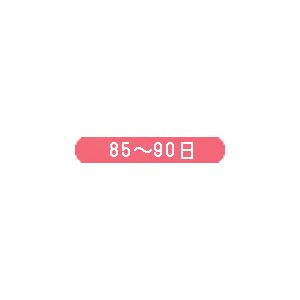 丸種 枝豆 中早生たんくろう 小袋|tanemori-netshop|02