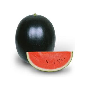 爽やかなスイカのマルガリータ レシピ