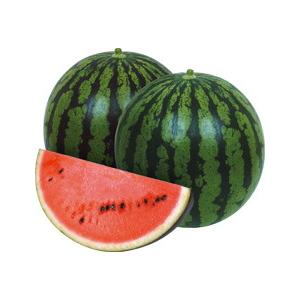 たね 丸種 スイカ 西瓜 すいか 夏時間 (なつじかん) 小袋 : 種苗・園芸