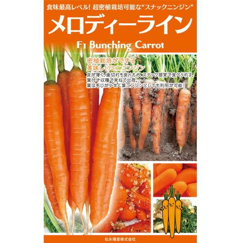 松永種苗 ニンジン 人参 一代交配 メロディーライン 小袋 : 種苗・園芸