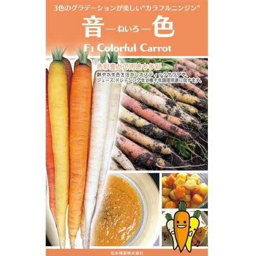 松永種苗 ニンジン にんじん 人参 音色 25000粒 : 種苗・園芸ショップ