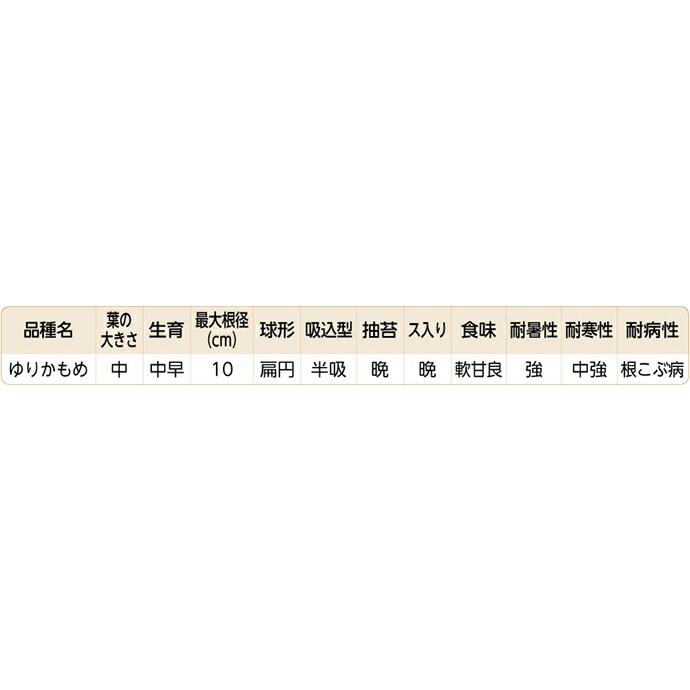たね 武蔵野種苗園 カブ ゆりかもめ 1dlの画像