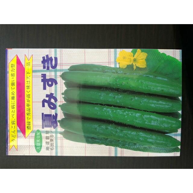 たね 長坂種苗園 キュウリ きゅうり 胡瓜 夏みずき 小袋 : 種苗・園芸