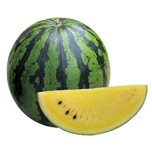 たね ナント種苗 スイカ 種子 こがねスペシャル 小袋 Nanto 0003 種苗 園芸ショップ 種もり 通販 Yahoo ショッピング