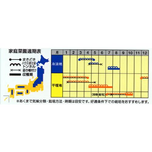 たね ナント種苗 スイカ 内果皮 月娘（つきむすめ）200粒