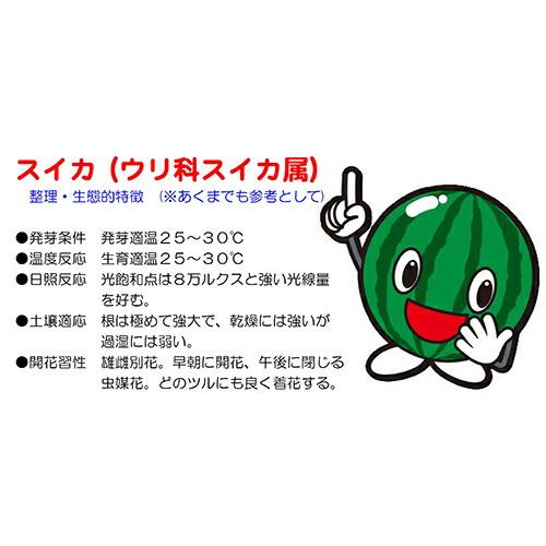 たね ナント種苗 スイカ 内果皮 月娘（つきむすめ）200粒
