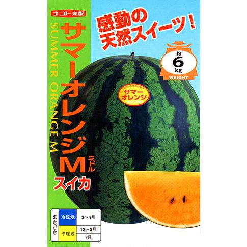 たね ナント種苗 スイカ 種子 サマーオレンジミドル 200粒 : 種苗
