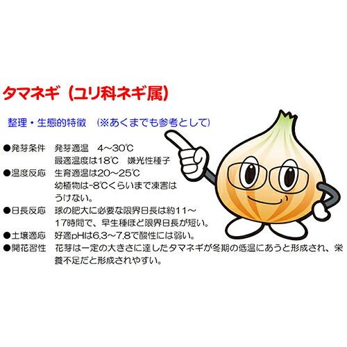 ナント種苗 タマネギ 赤たまサラダ（赤色の発色が鮮やか！）2dlの画像