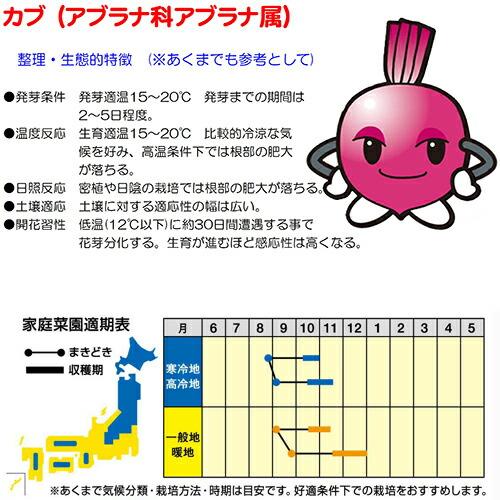 たね ナント種苗 カブ もものすけ(サラダカブ) 1dlの画像