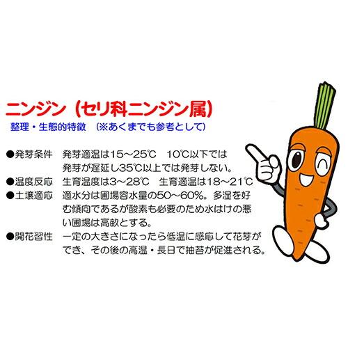 ナント種苗 ニンジン 紅奏(べにかなで) 大型ニンジン８寸タイプ 2dlの画像