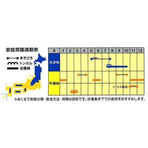 ナント種苗 ダイコン 優等生 2dlの画像