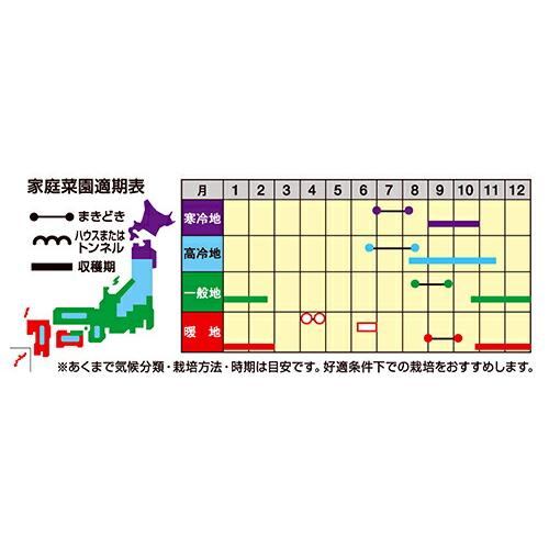 ナント種苗 ダイコン もみじスティック 1dlの画像