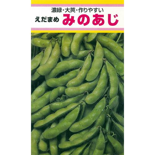 ナント種苗 エダマメ みのあじ 1dl : 種苗・園芸ショップ 種もり