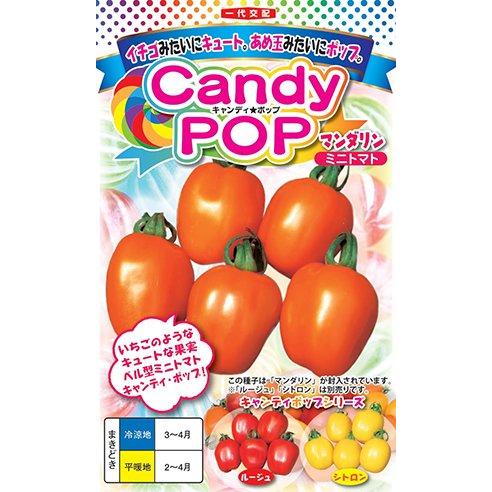 たね ナント種苗 ミニトマト キャンディ ポップ マンダリン（橙色