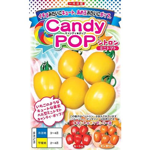 たね ナント種苗 ミニトマト キャンディ ポップ シトロン（黄色）小袋