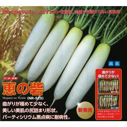 たね ナント種苗 ダイコン 大根 だいこん 恵の砦 1000粒 : 種苗・園芸