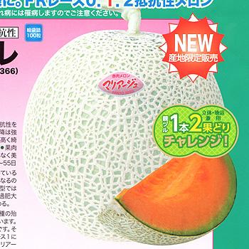 ナント種苗 メロン マリアージュ ルフレ 100粒 : 種苗・園芸ショップ