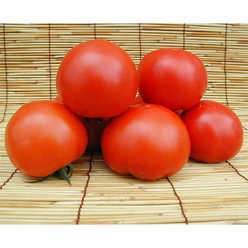 とまと 鳥取県産笑心とまと】たっぷり4kg箱特大12玉入り！贈答用にも☆ | 野菜