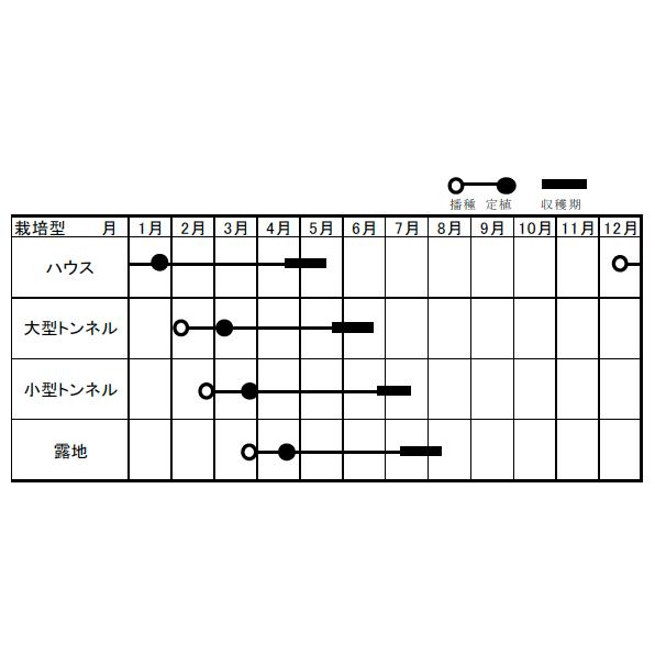 ナント種苗   西洋カボチャ 西洋カボチャ かぼちゃ 栗ざんまい弐号 500粒
