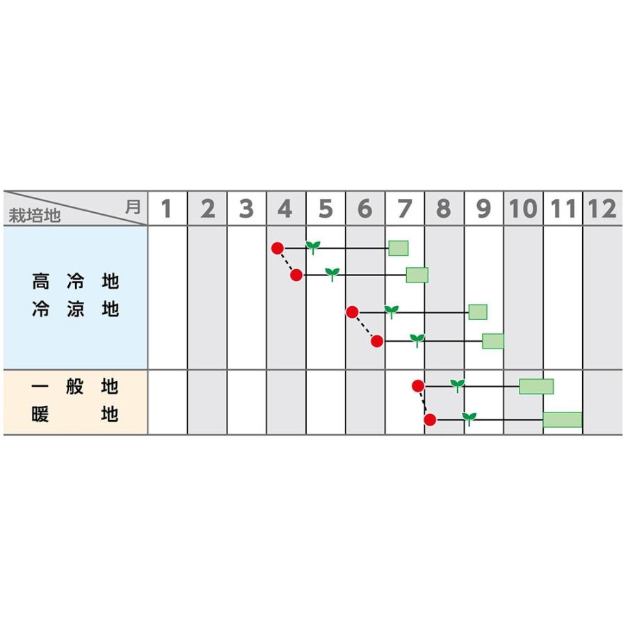 サカタのタネ ブロッコリー アーリーキャノン ペレット5000粒 : 種苗