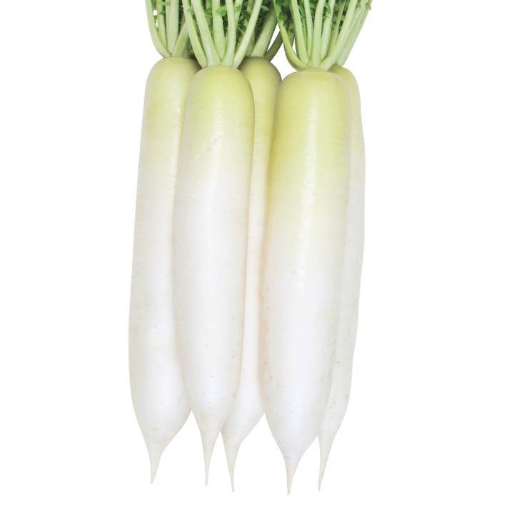 山陽種苗 ダイコン 大根 だいこん 秋健大根 20ml : 種苗・園芸ショップ