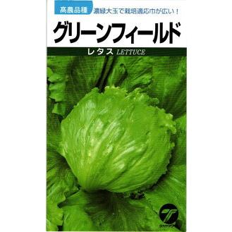 たね タカヤマシード レタス グリーンフィールド 小袋 : 種苗・園芸