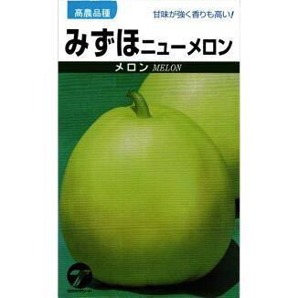 たね タカヤマシード メロン 種子 みずほニューメロン 小袋 : 種苗