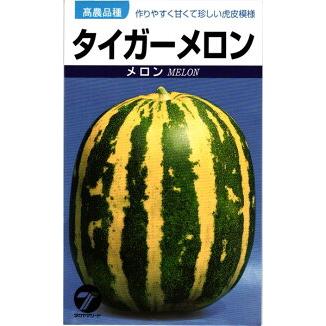 たね タカヤマシード メロン 種子 タイガーメロン 小袋 : 種苗・園芸