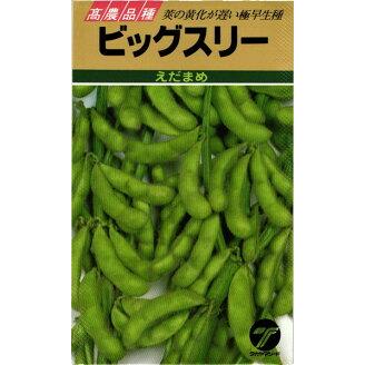 たね タカヤマシード エダマメ 枝豆 ビッグスリー 1L : 種苗・園芸