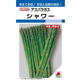 アスパラガス苗　２０株 タキイ種苗 アスパラガス シャワー 20ml : 種苗・園芸ショップ 種もり