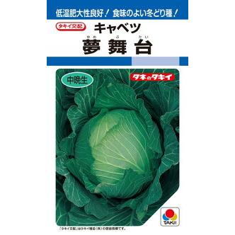 セレクトショップ タキイ種苗 キャベツ 夢舞台 葉菜 ペレット L5000粒 Takii 0078 種苗 園芸ショップ 種 種子 L5000粒 Takii 0078ならショッピング ランキングや口コミも豊富なネット通販 更にお得なpaypay残高も スマホアプリも充実で毎日どこからでも気になる