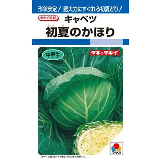 最新の激安 タキイ種苗 キャベツ 初夏のかほり ペレット L5000粒 Takii 0116 種苗 園芸ショップ 種もり 通販 Yahoo ショッピング 海外最新 Advokatdikarev Ru